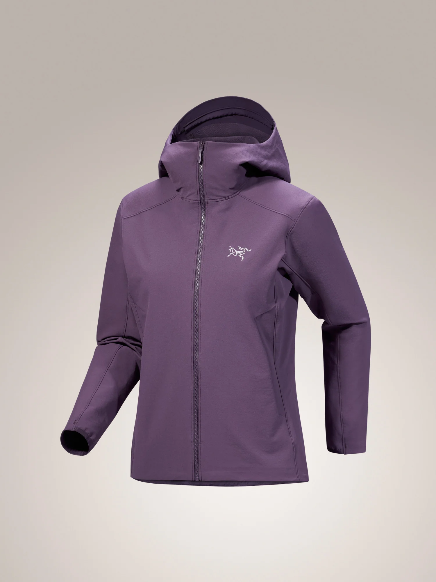 Gamma Hoody - 1