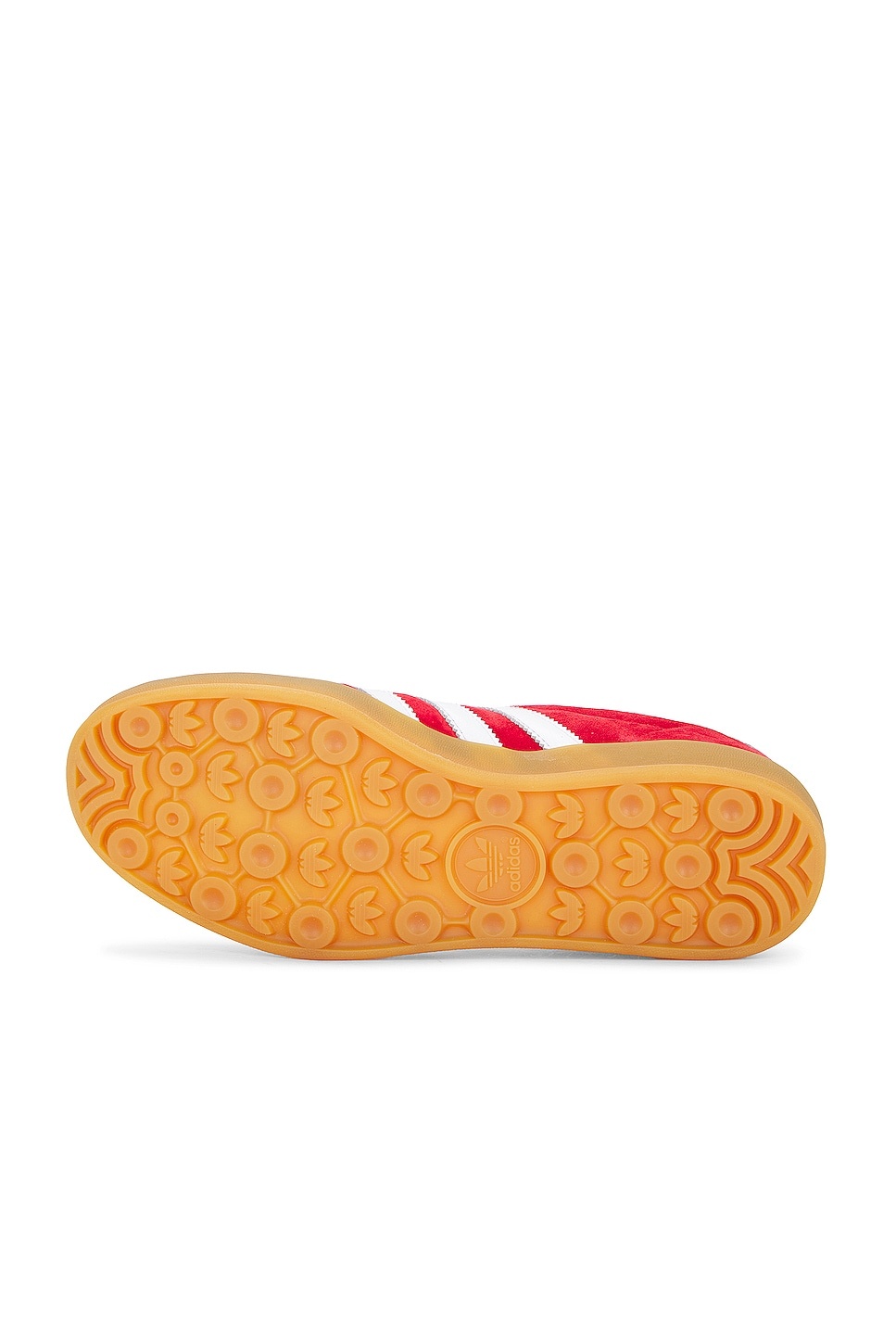 Gazelle Indoor - 6