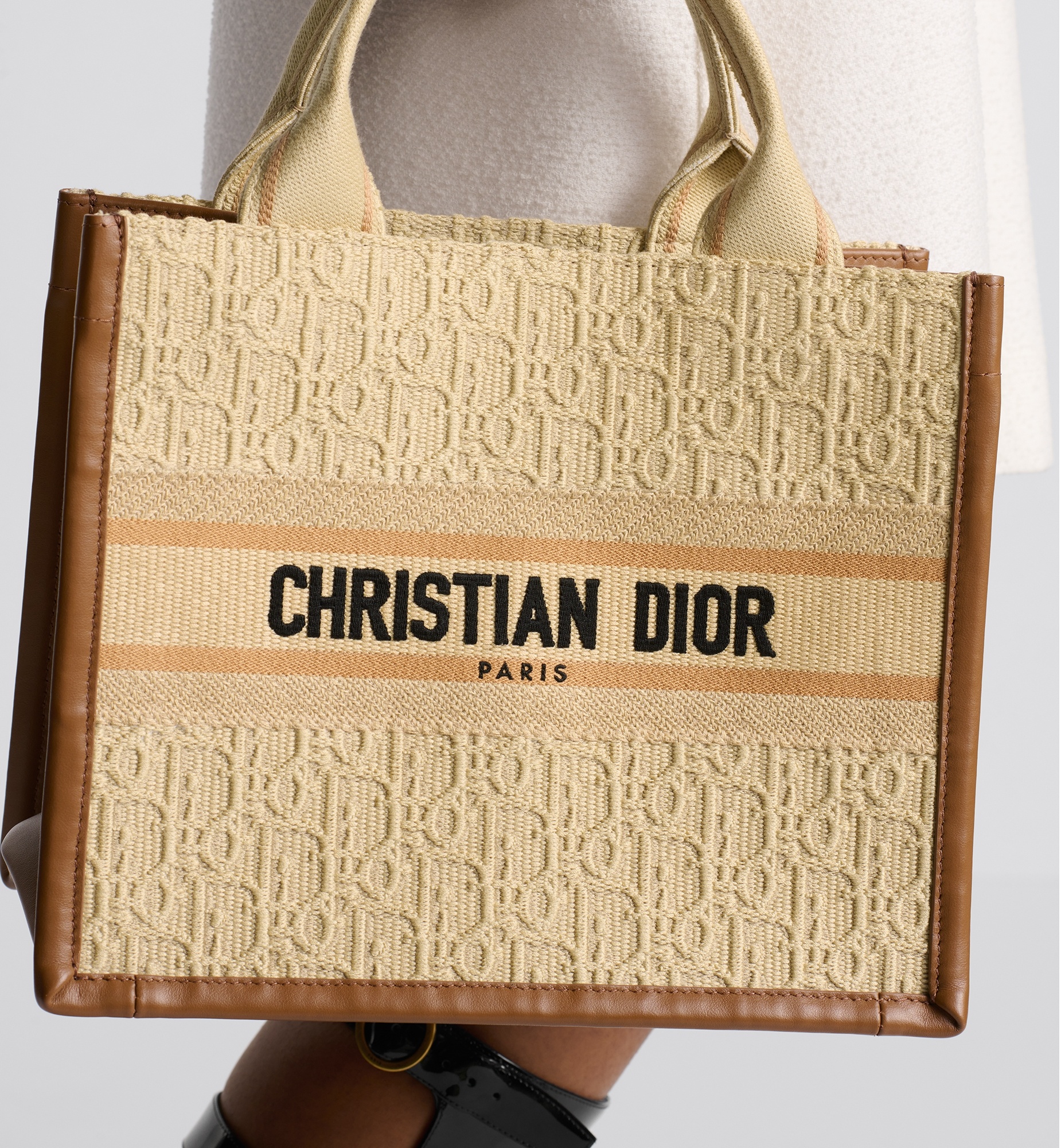 Small Dior Book Tote - 4