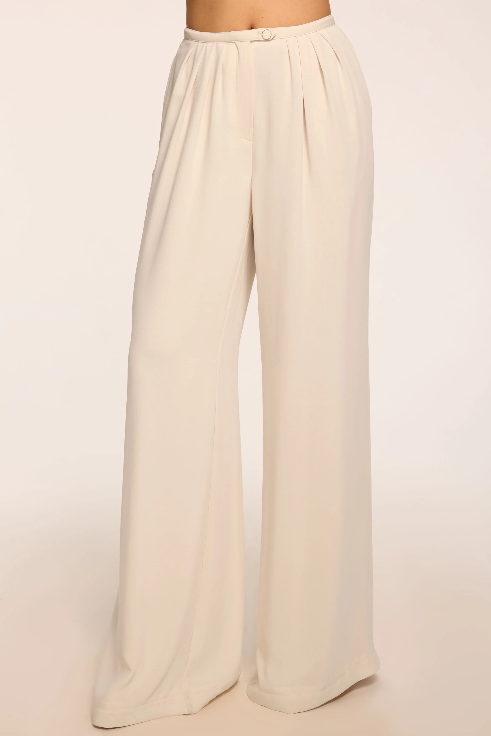 Yasmine Wide Leg Pleated Pant - 1