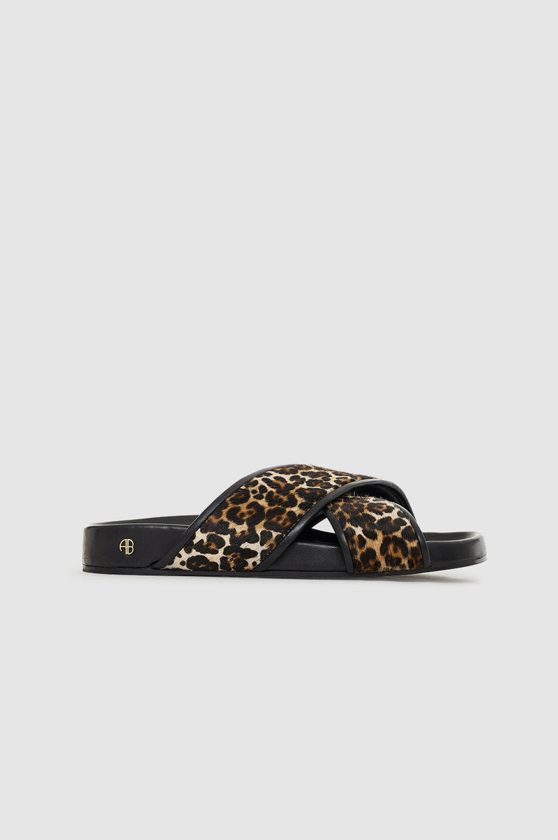 Emi Slides - Leopard 1