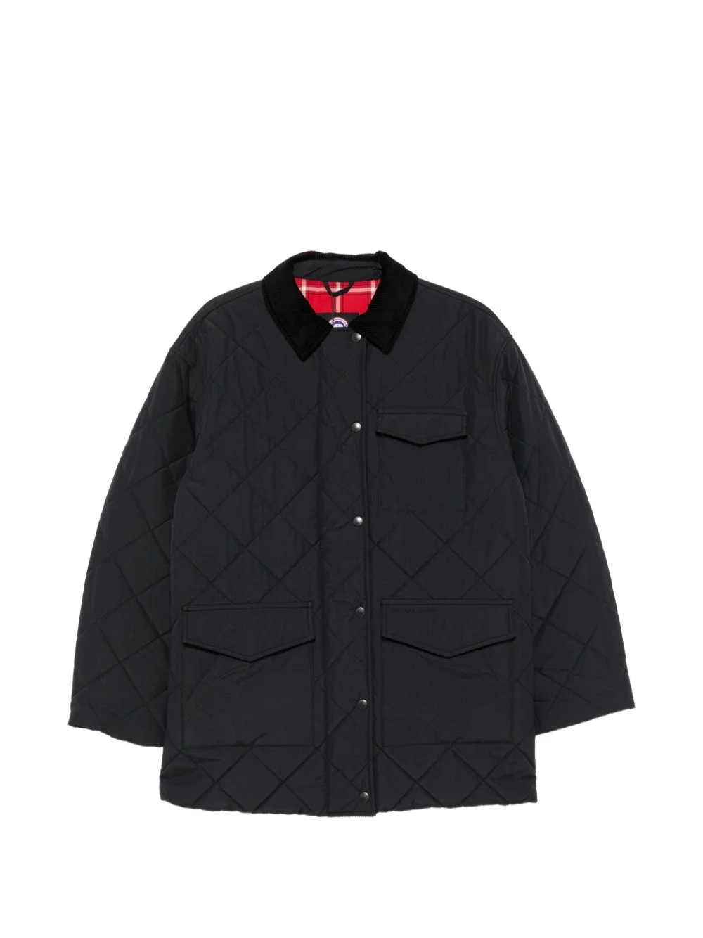 Terra coat - 1