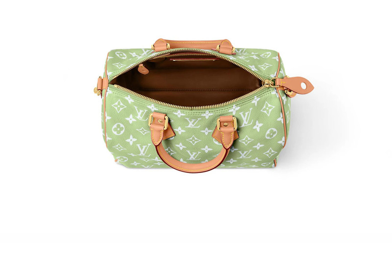 Louis Vuitton Louis Vuitton Speedy P9 Bandouliere 30 Frozen Lime outlook