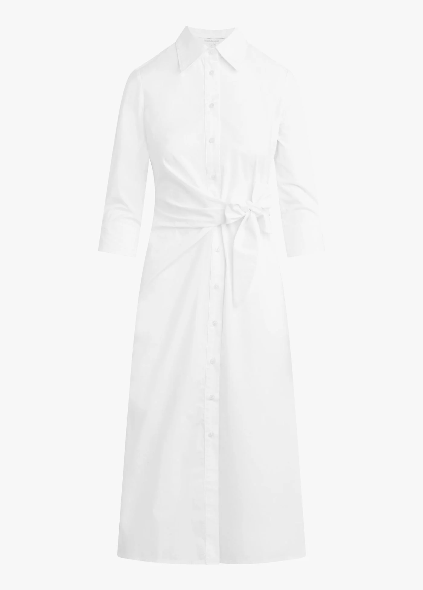 THE WELL MANNERED DRESS - 1