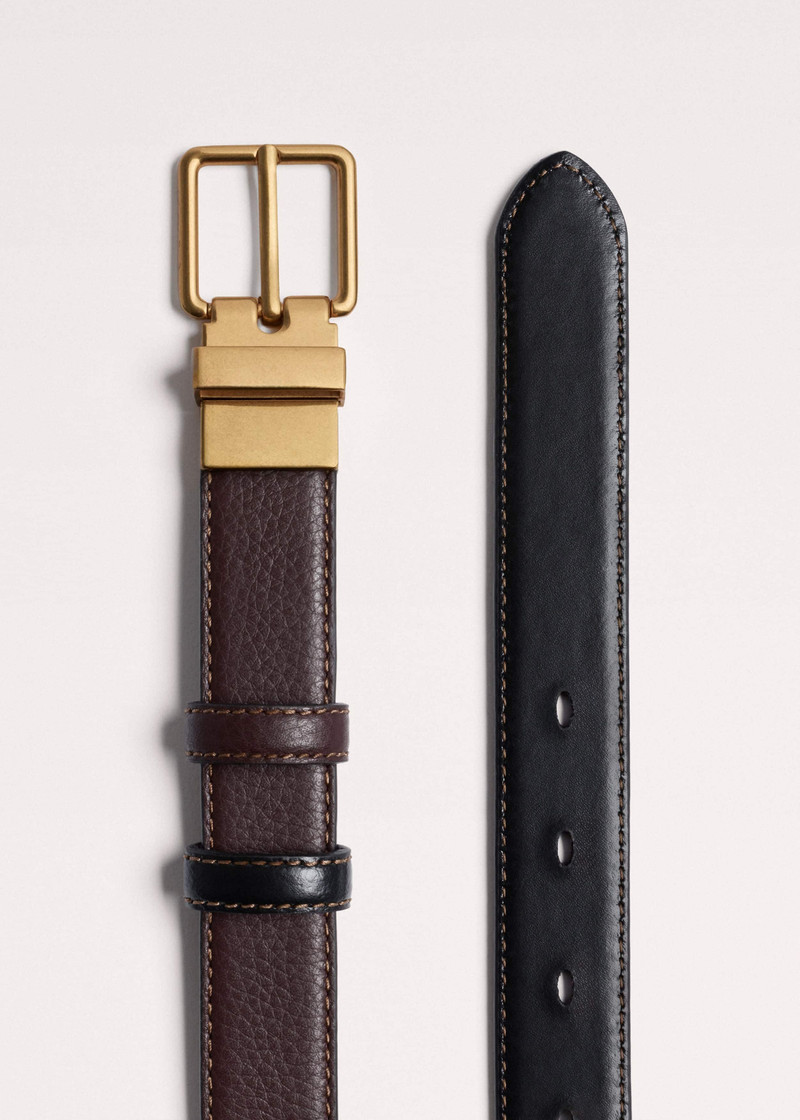 Reversible Belt 1