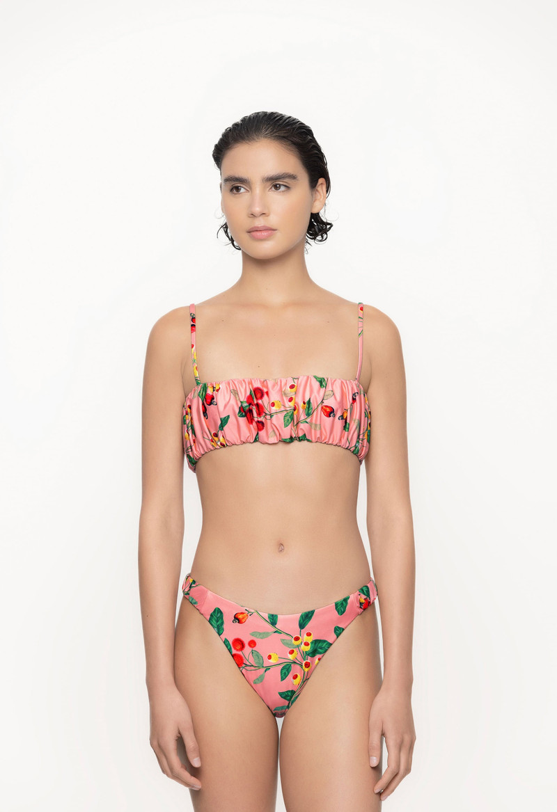 Eneldo Frutal Bikini Top 5