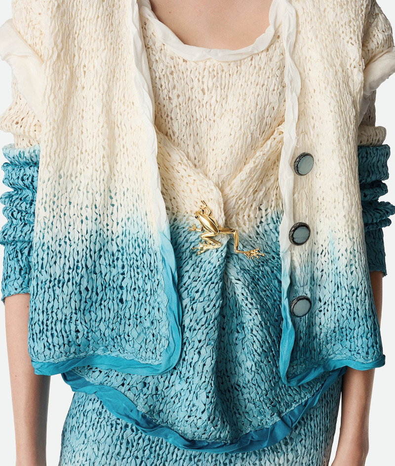 Bottega Veneta Rana Large Brooch outlook