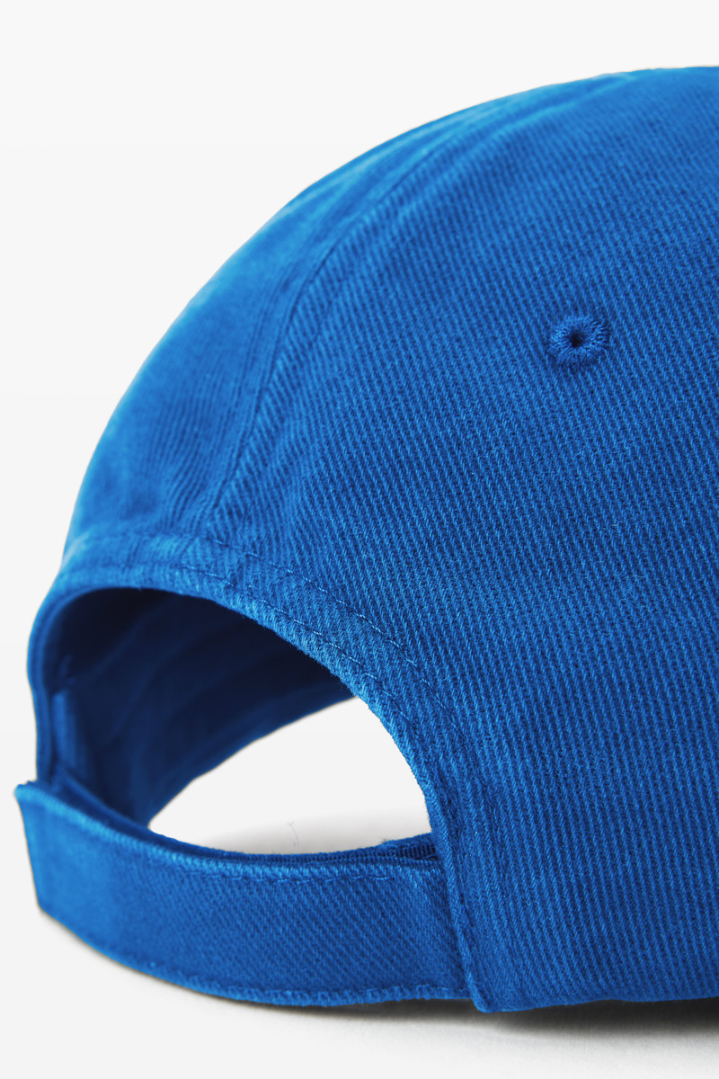 Blue Logo Baseball Cap 5