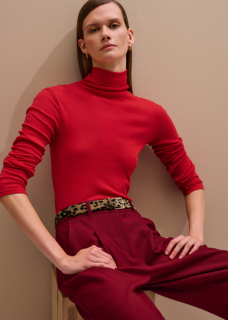 Sheer High Neck Top 1
