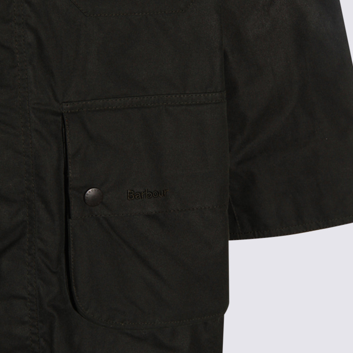 Coats Sage - 4