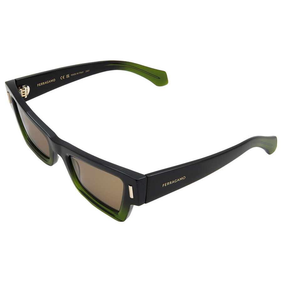Ferragamo Brown Cat Eye Ladies Sunglasses SF2006S 316 53 - 4