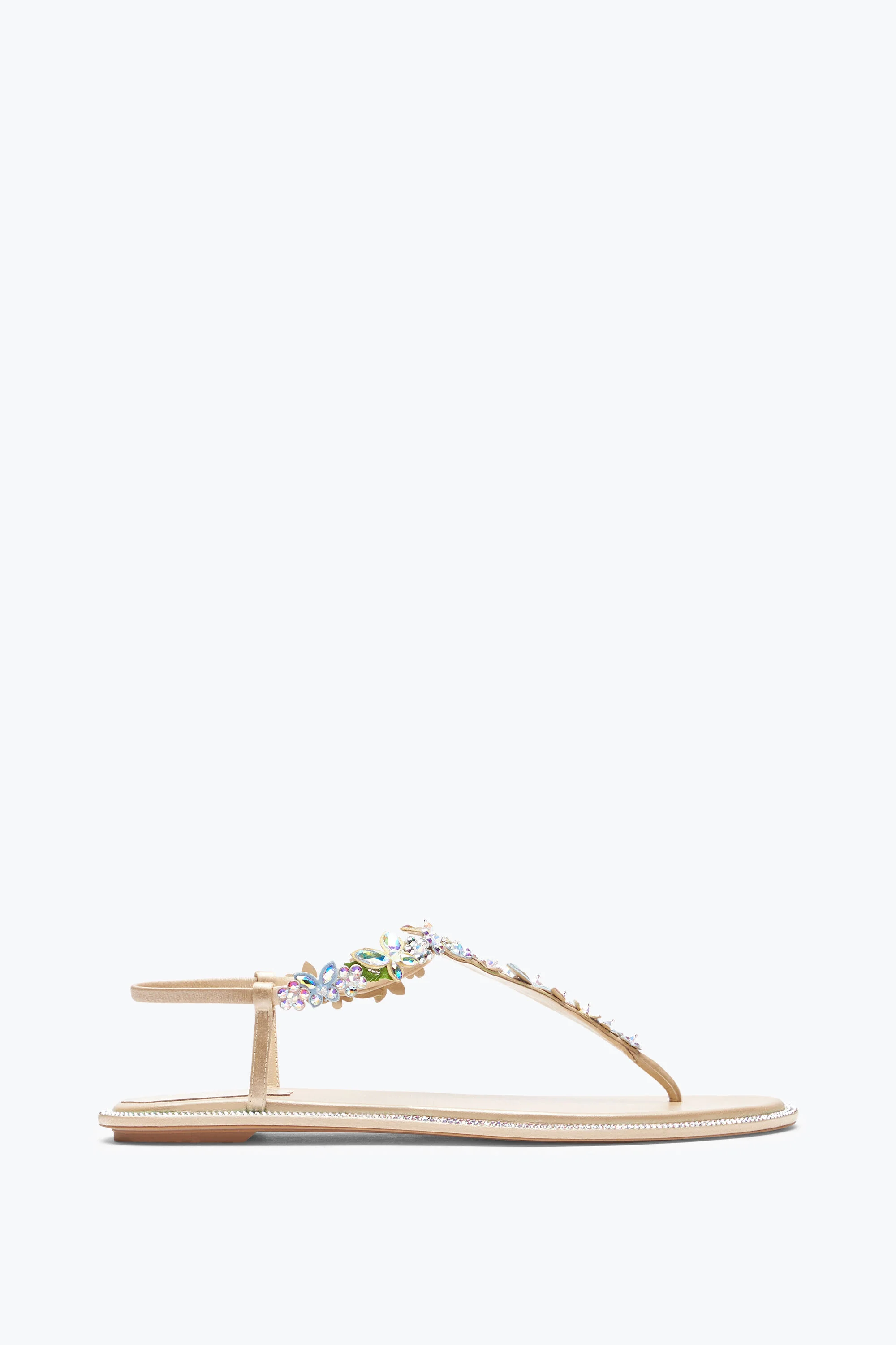Eden Nude Thong Sandal 10 - 1