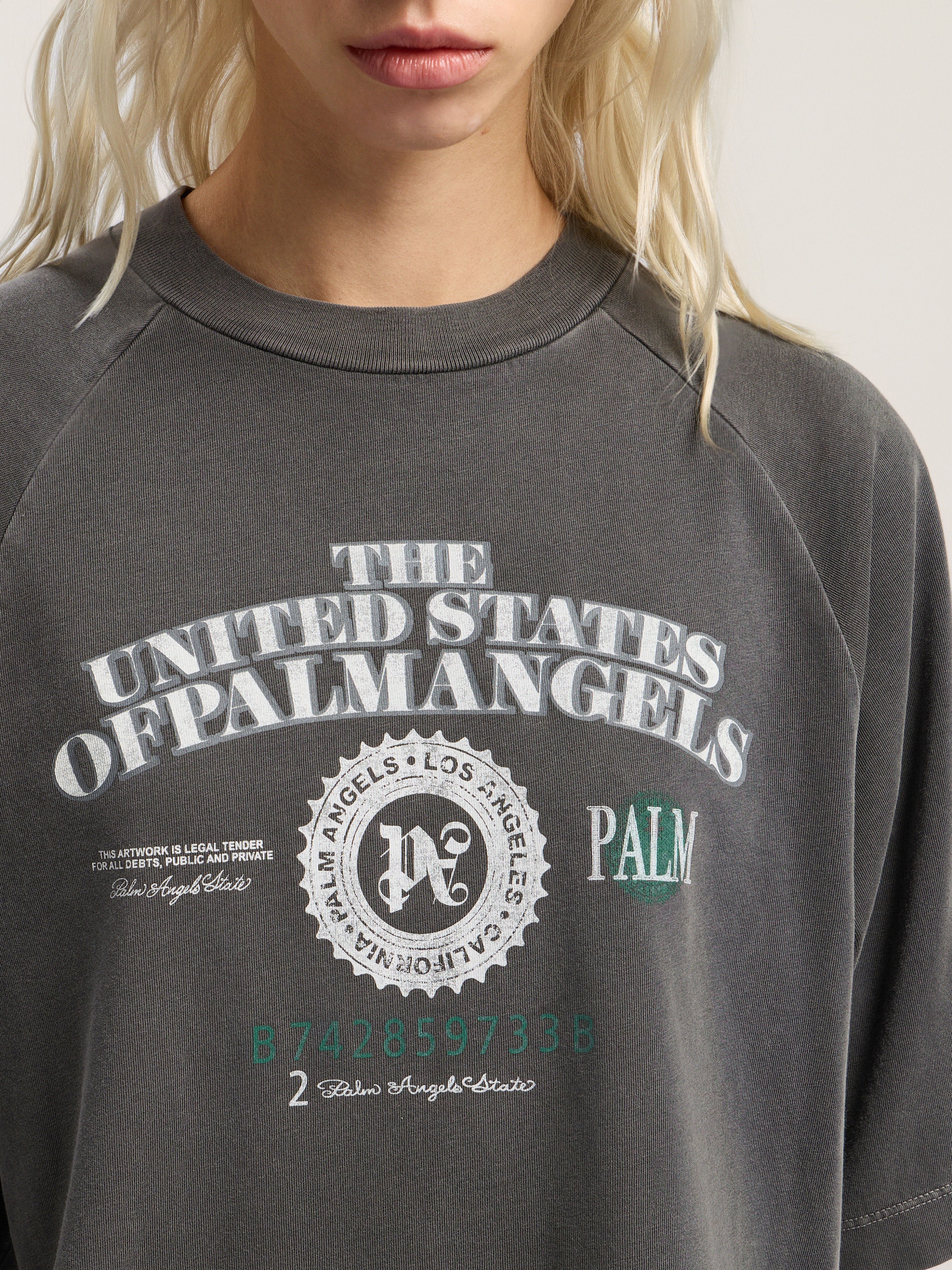 Dollar Cropped Tee - 5