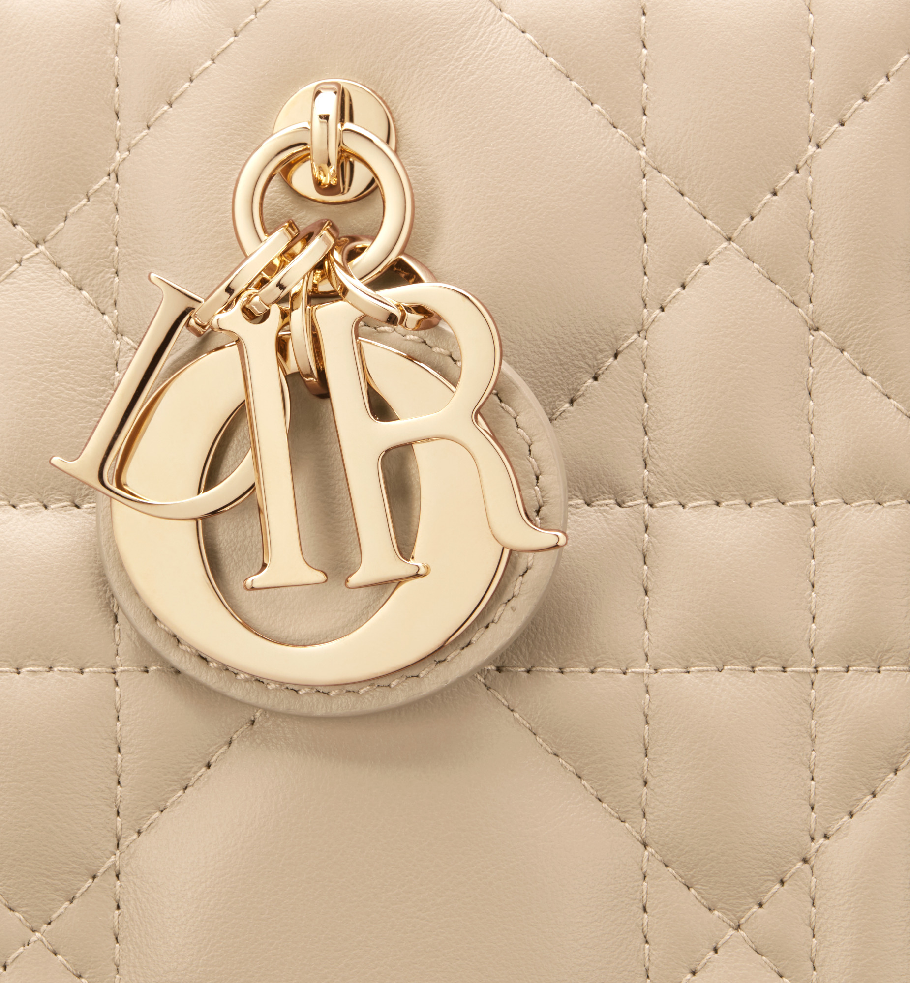 Small Dior Book Tote - 7