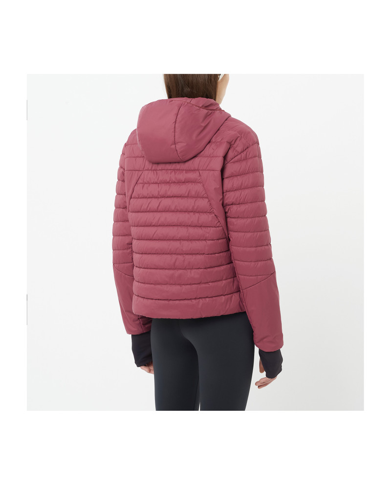 SALOMON RFLX outlook