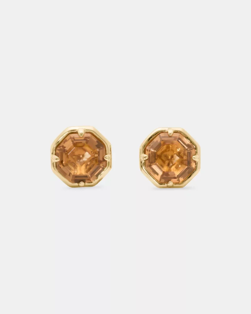 Opulence Octagon Stone Studs - 1
