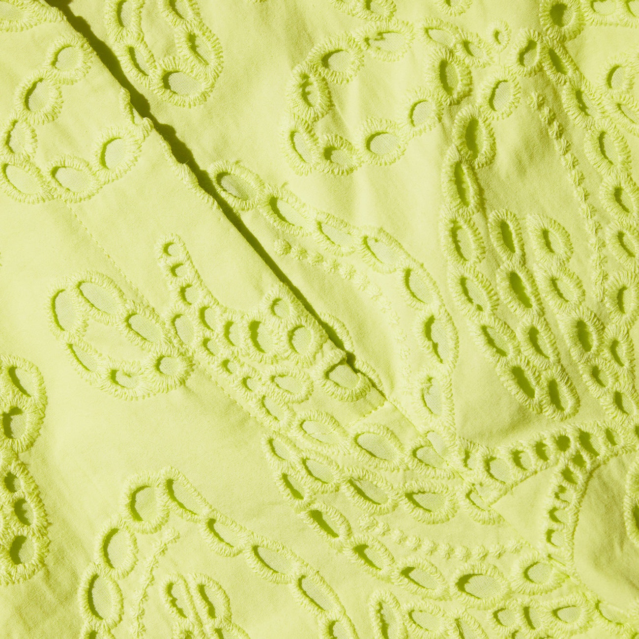 Lime Broderie Shorts - 5