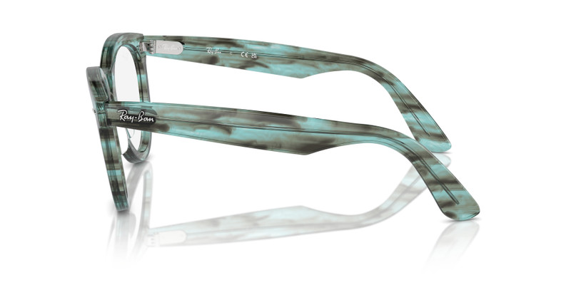 WAYFARER 경로 OPTICS 5