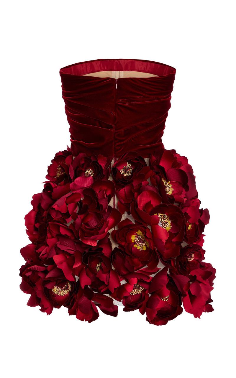 Floral-Appliquéd Velvet Mini Dress red 7