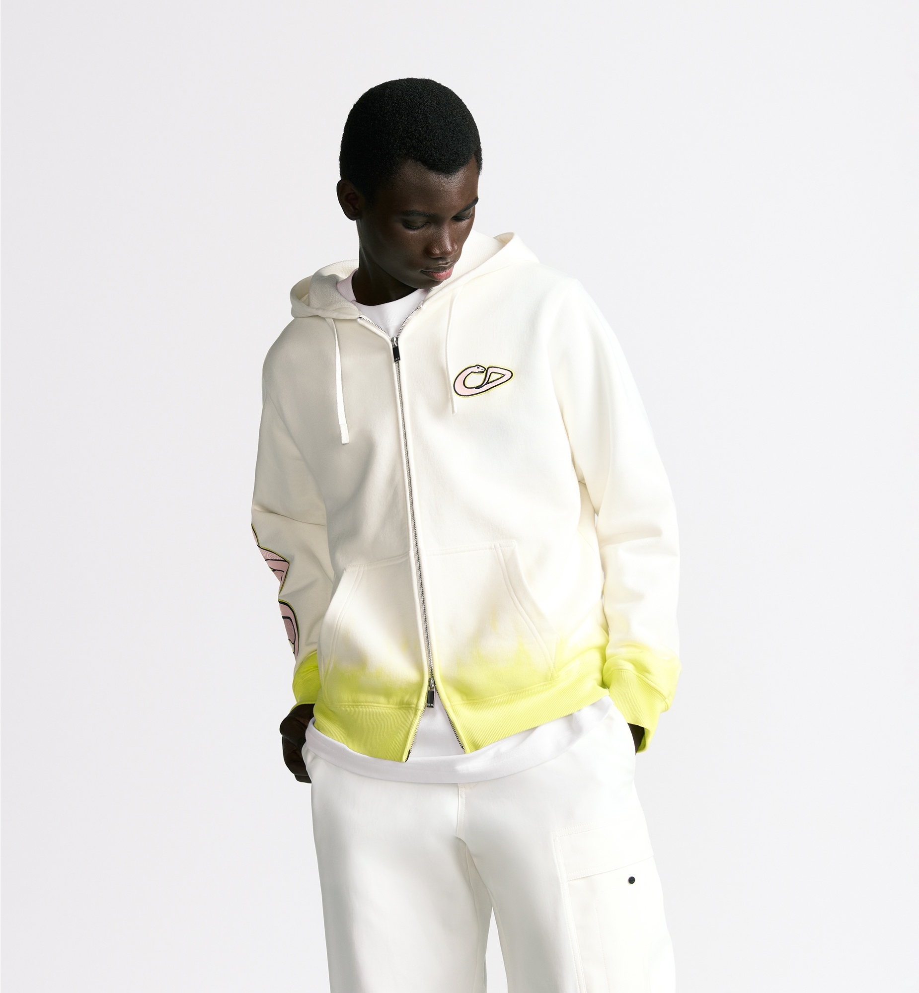19ss Dior KAWS パーカー　ジャケット　HOODIE  HOODED Dior Dior x KAWS Nylon Zip Up Hooded Jacket | Grailed