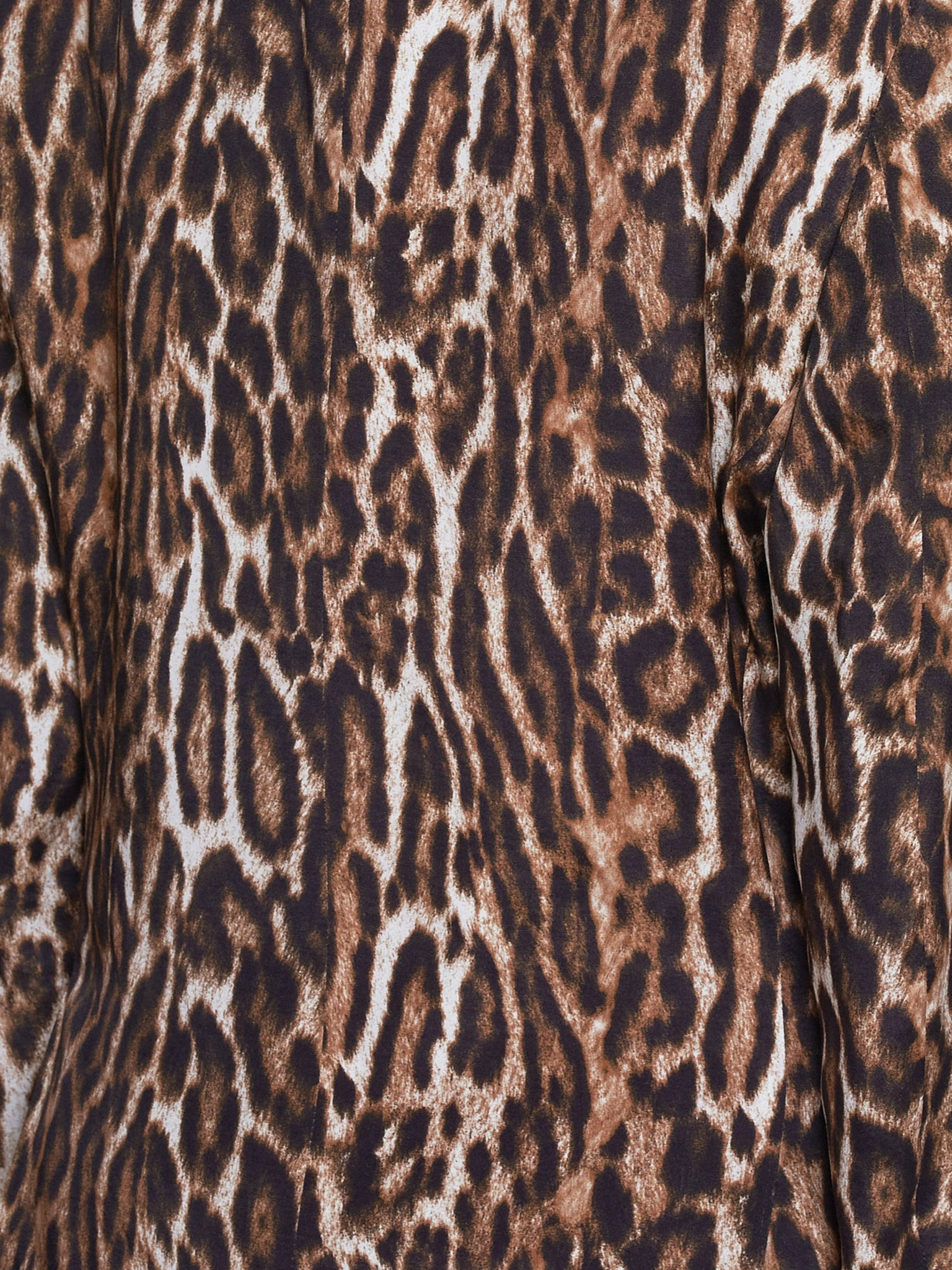Shawl Lapel Tuxedo - 5