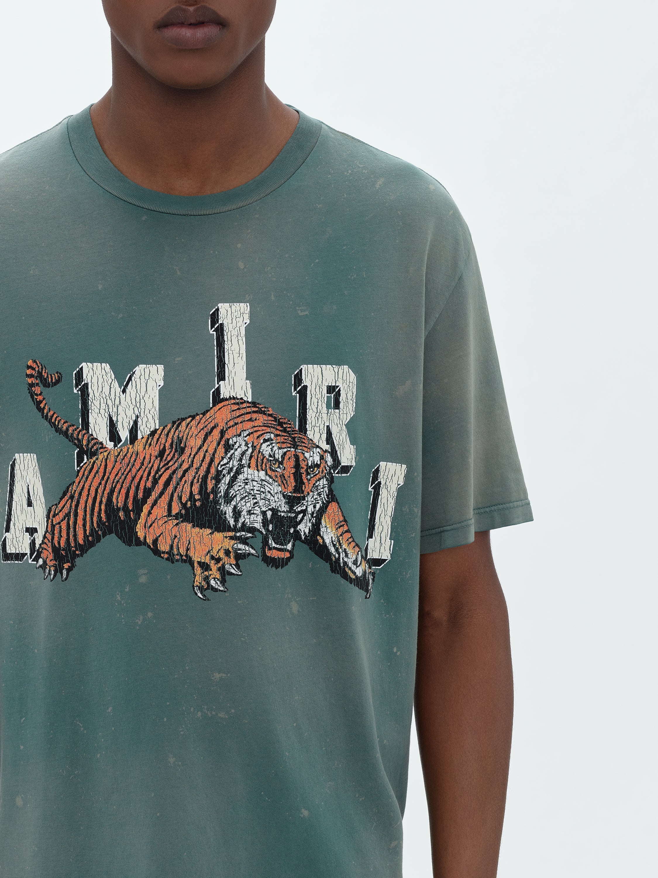 VINTAGE TIGER TEE - 5