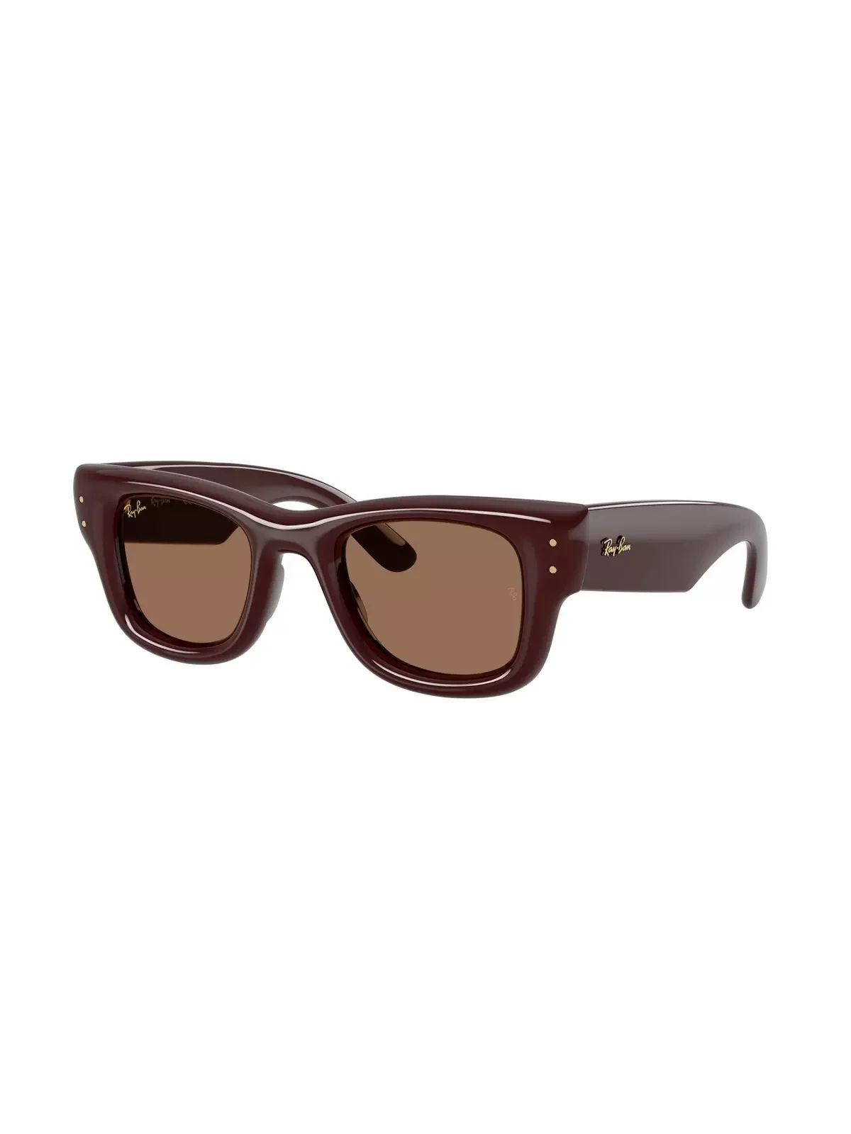 Wayfarer Puffer Dark Brown Sunglasses â Polished Dark Brown - 1