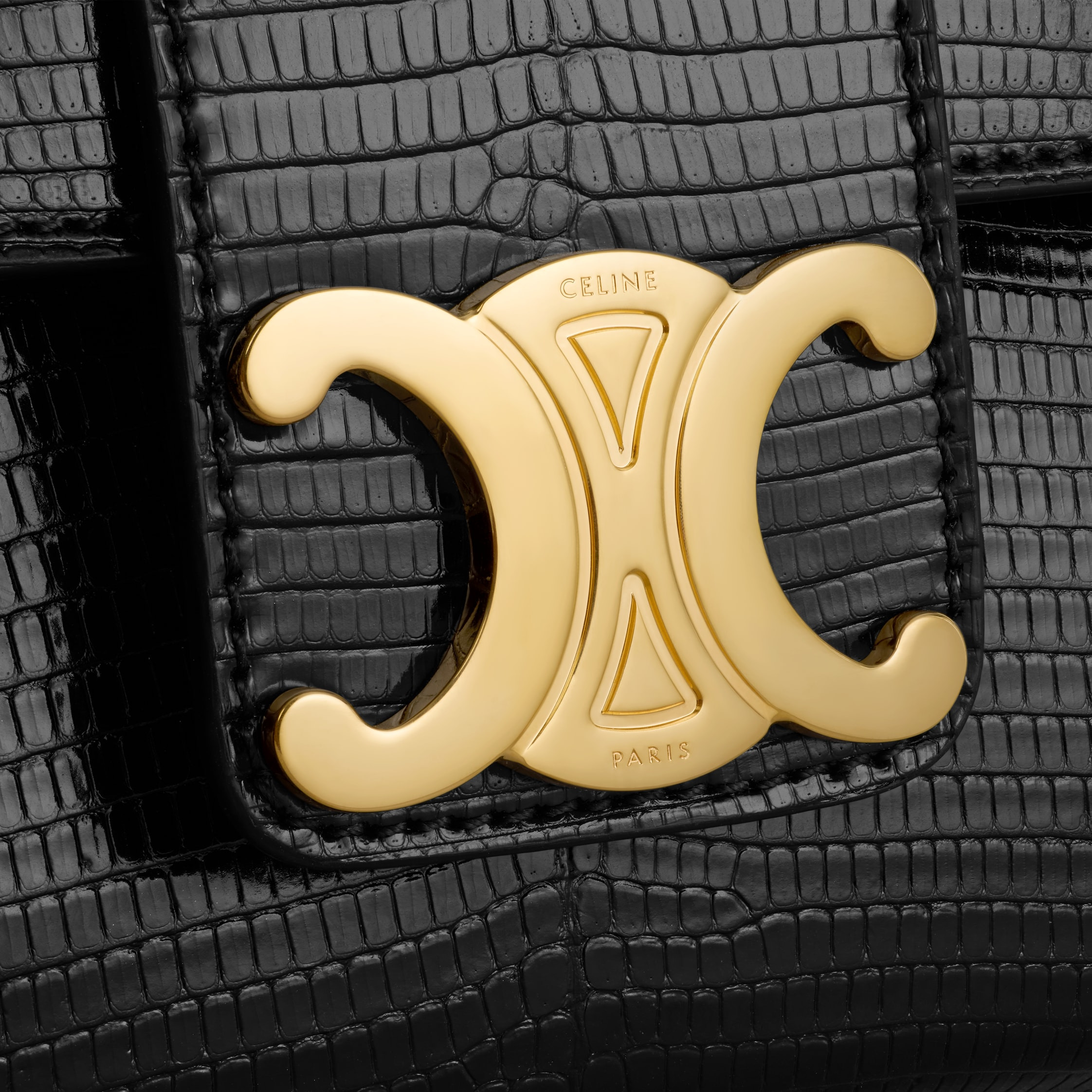 MINI CELINE VICTOIRE in lizard - 5