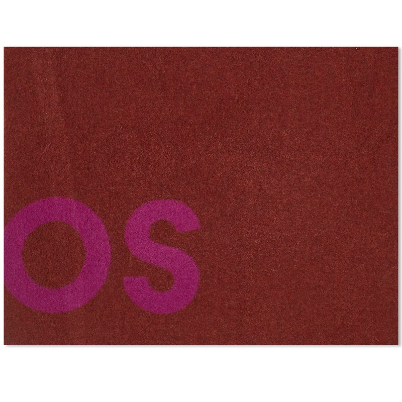 Acne Studios Toronty Logo Contrast Recycled Scarf 1