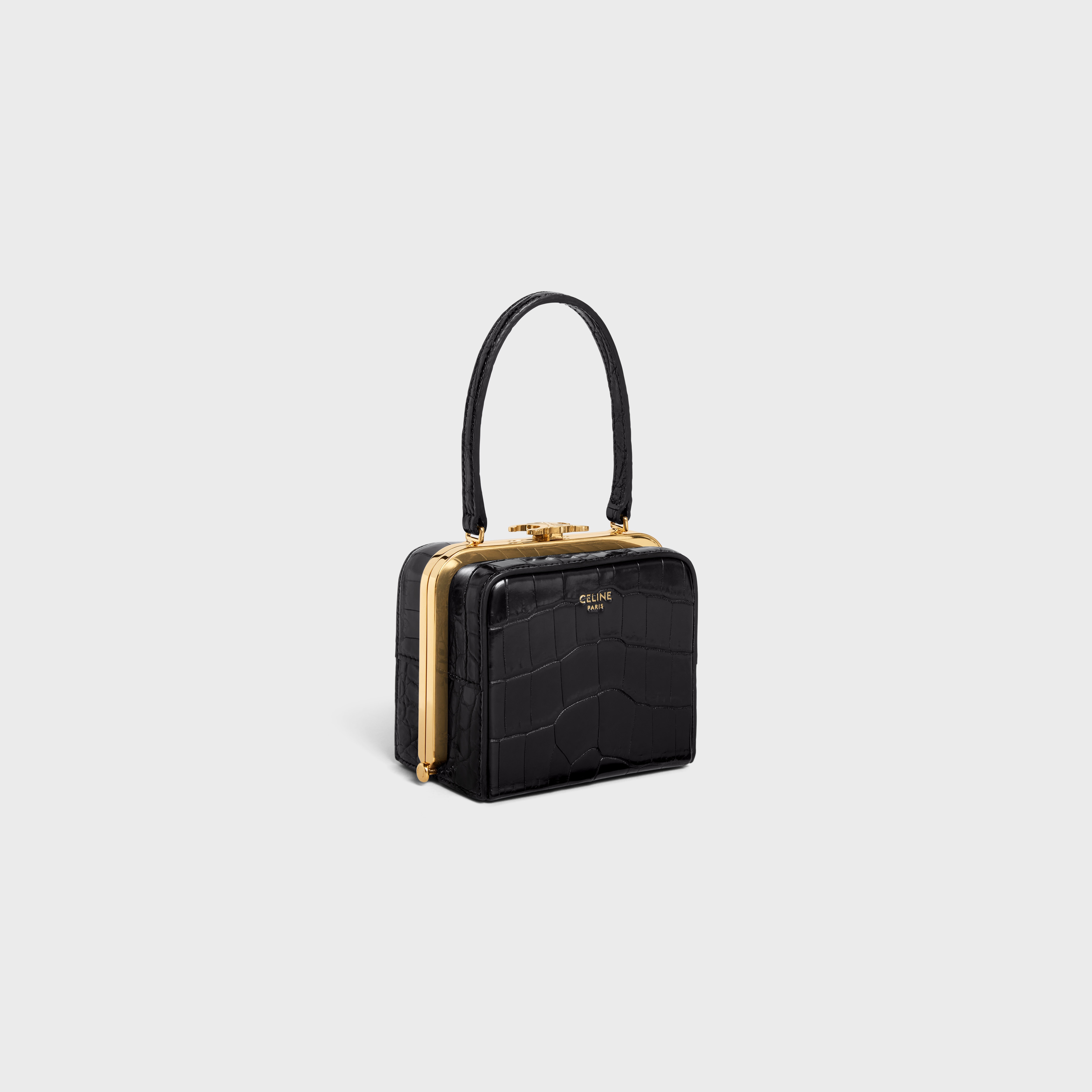 CELINE LANA MINAUDIERE in Niloticus Crocodile - 2