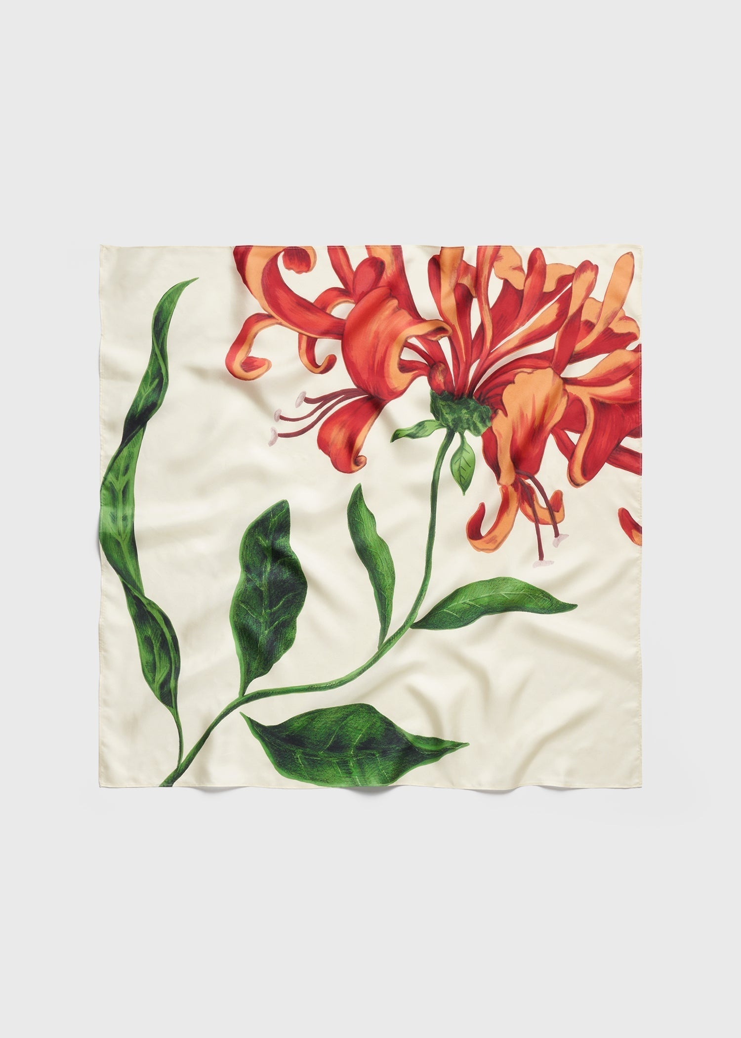 Honeysuckle silk scarf ecru/orange - 5
