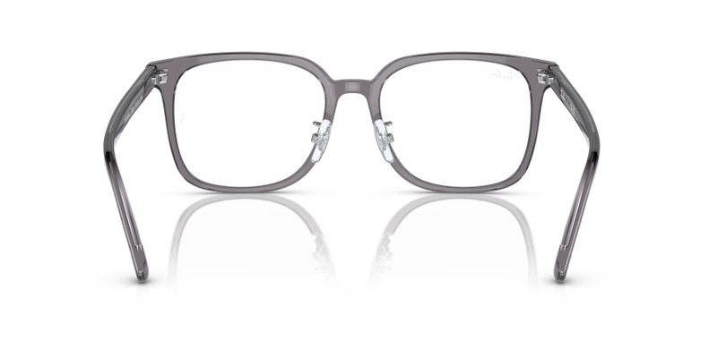 RB5419 OPTICS 6