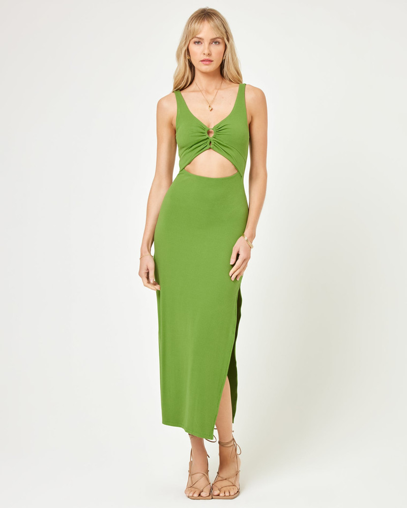 L*SPACE Camille Dress outlook