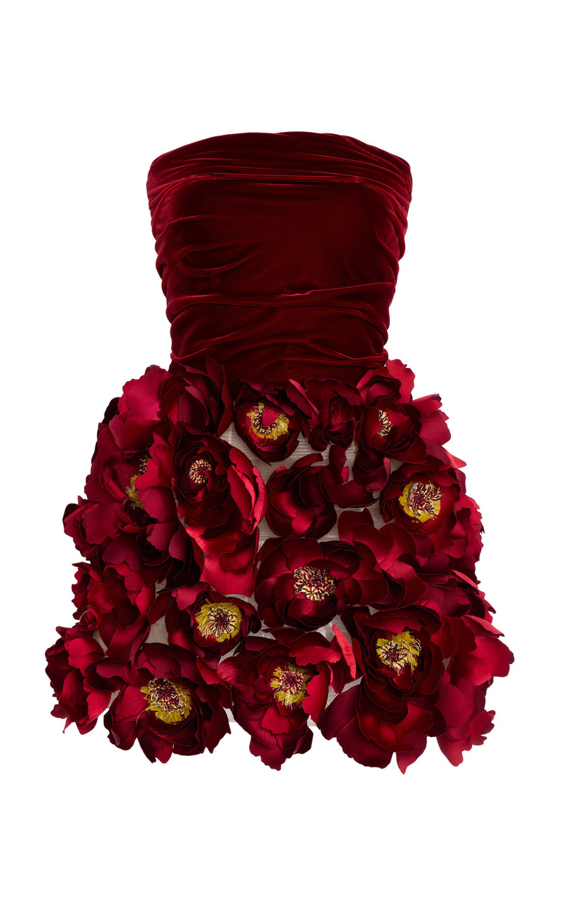 Floral-Appliquéd Velvet Mini Dress red 1