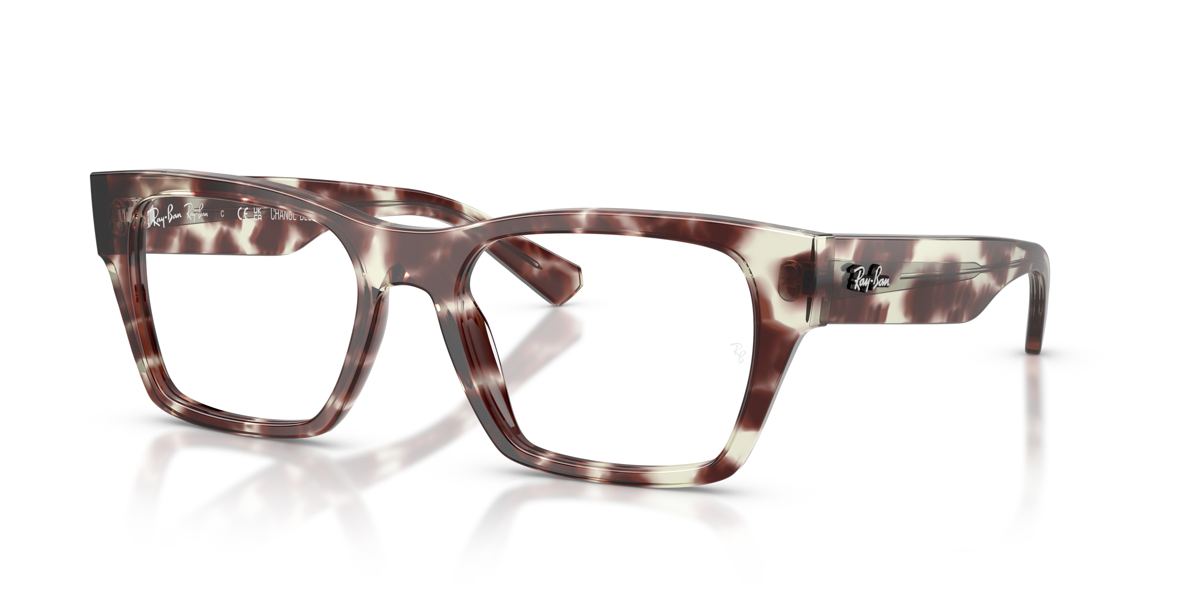 RB5448 OPTICS - 1