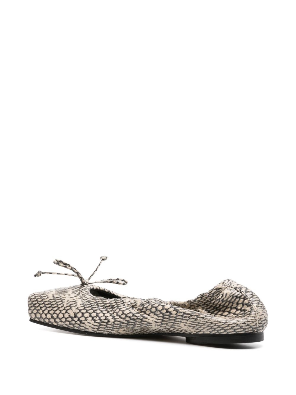 The Ballet flats - 3