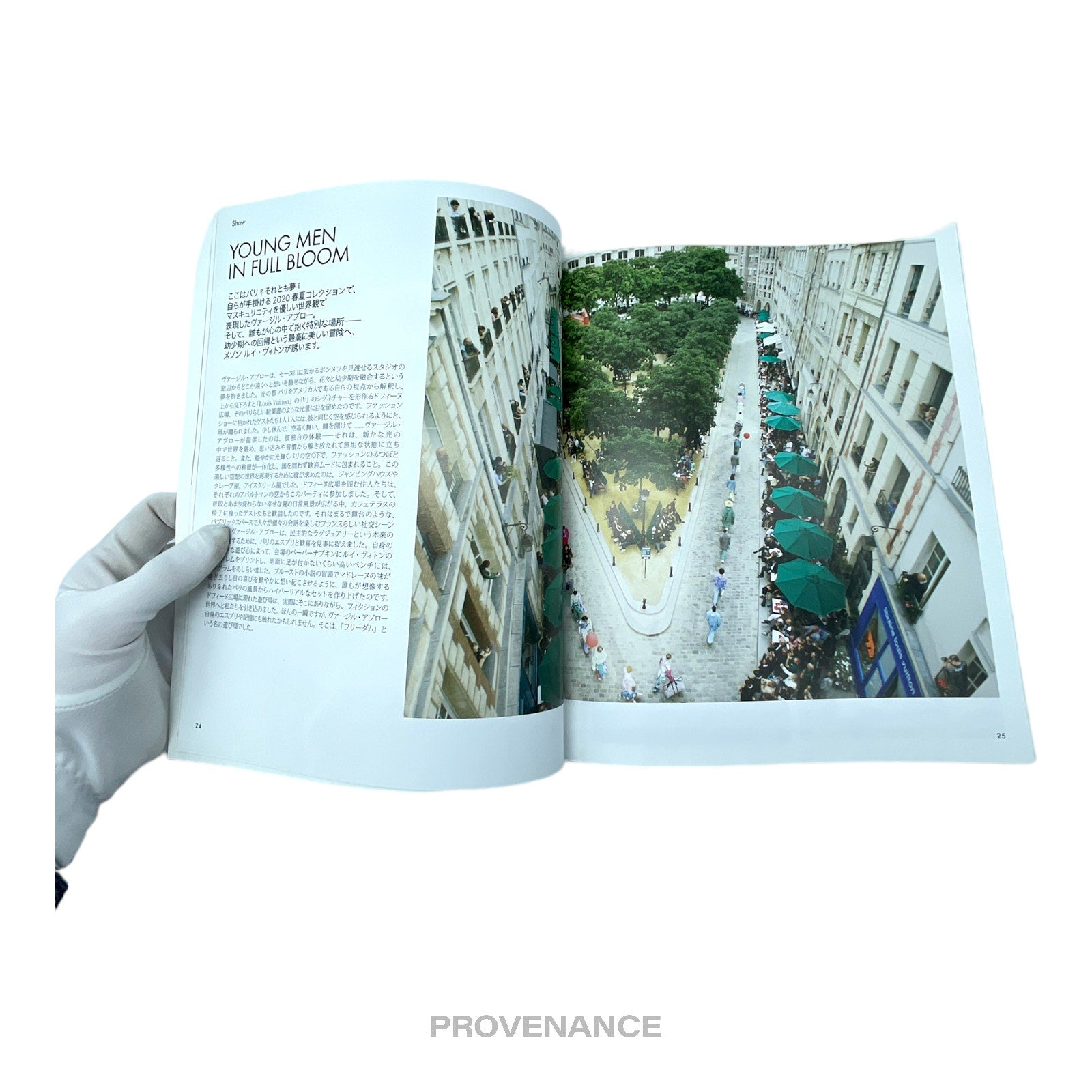 Louis Vuitton The Book #11 - 8