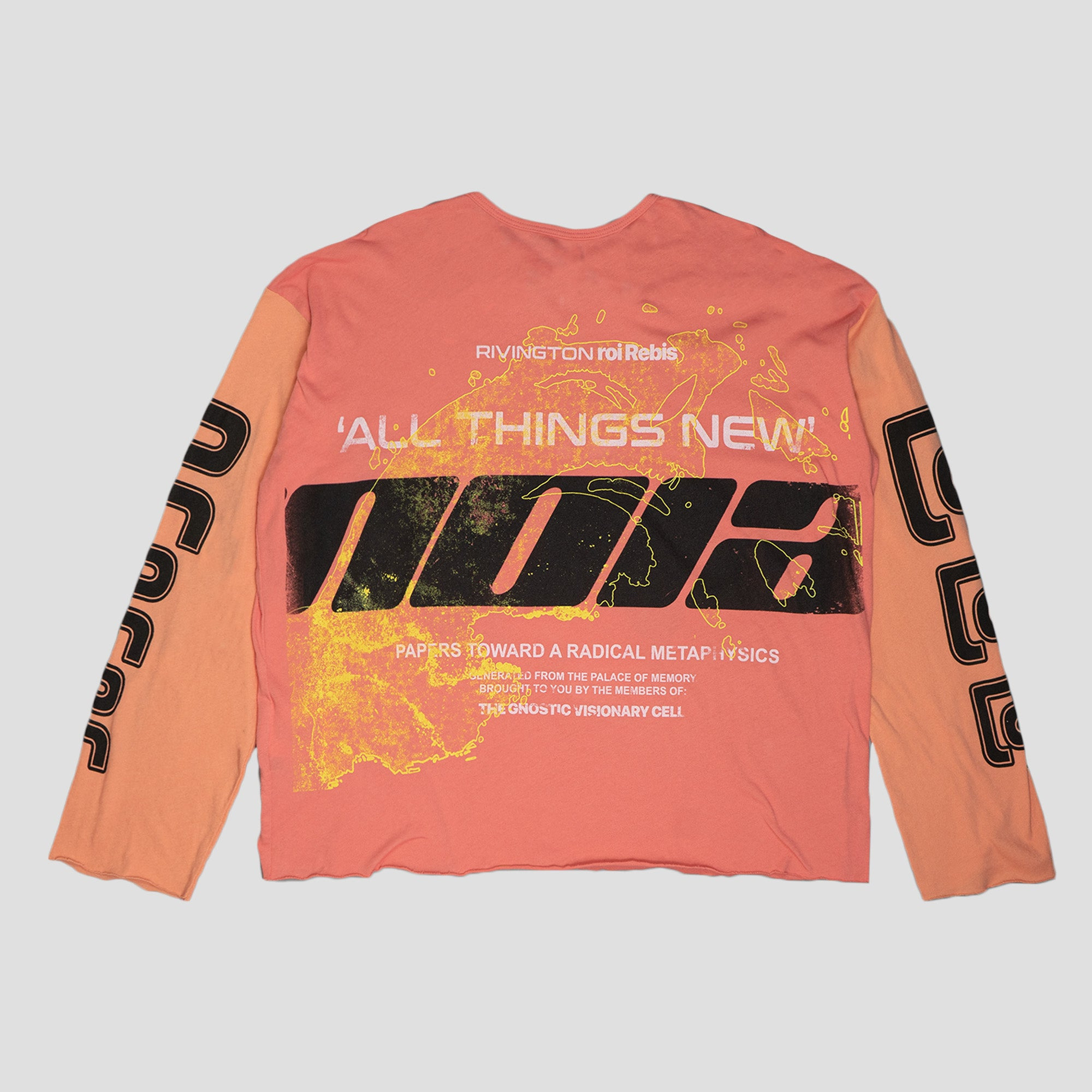 ALL THINGS NEW ENEMY L/S T-SHIRTS - 2