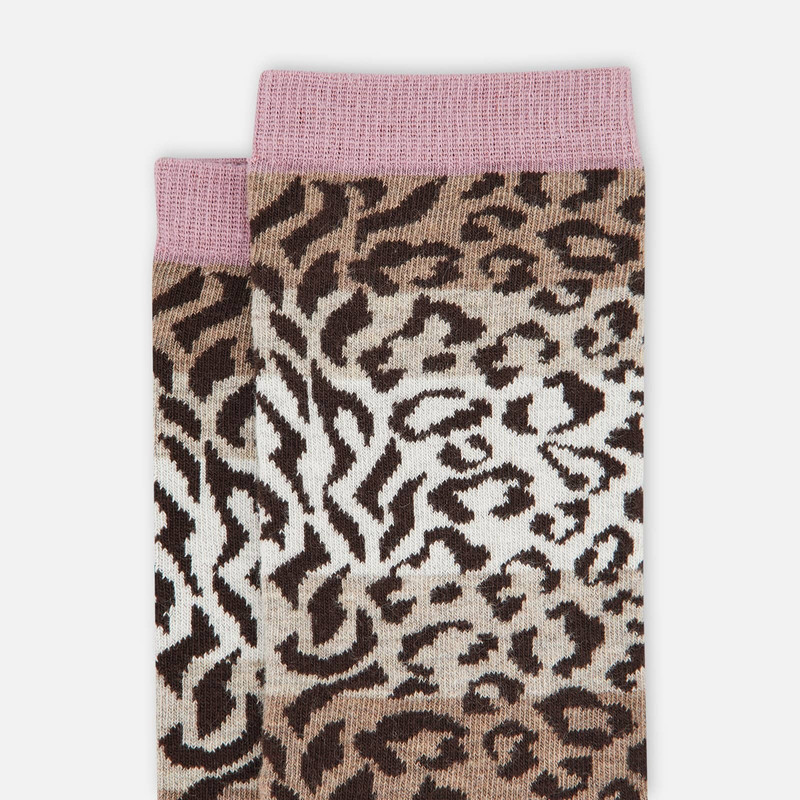 HOGAN Hogan Socks Violet Brown outlook