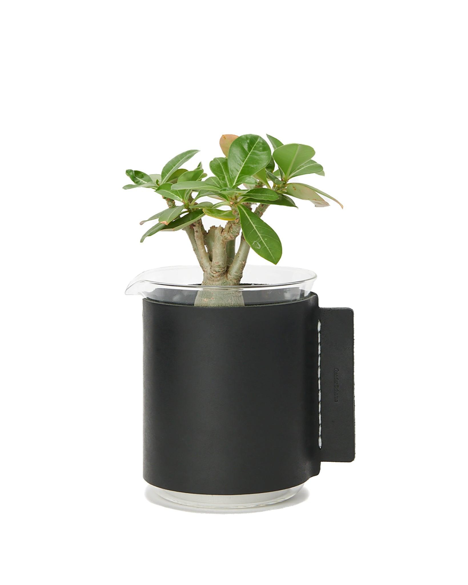 Beaker/500Ml Vase Black - 2