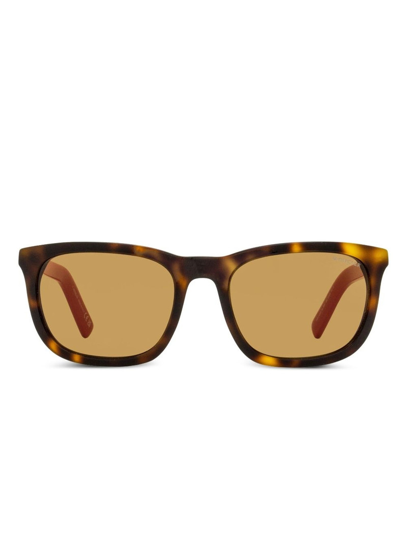 Kolligian sunglasses 1