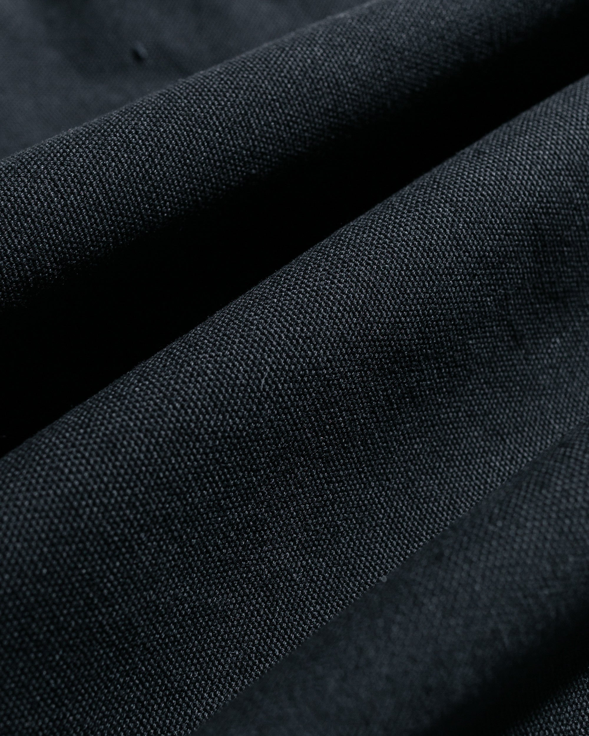 Stüssy Carpenter Pant Canvas Black - 6