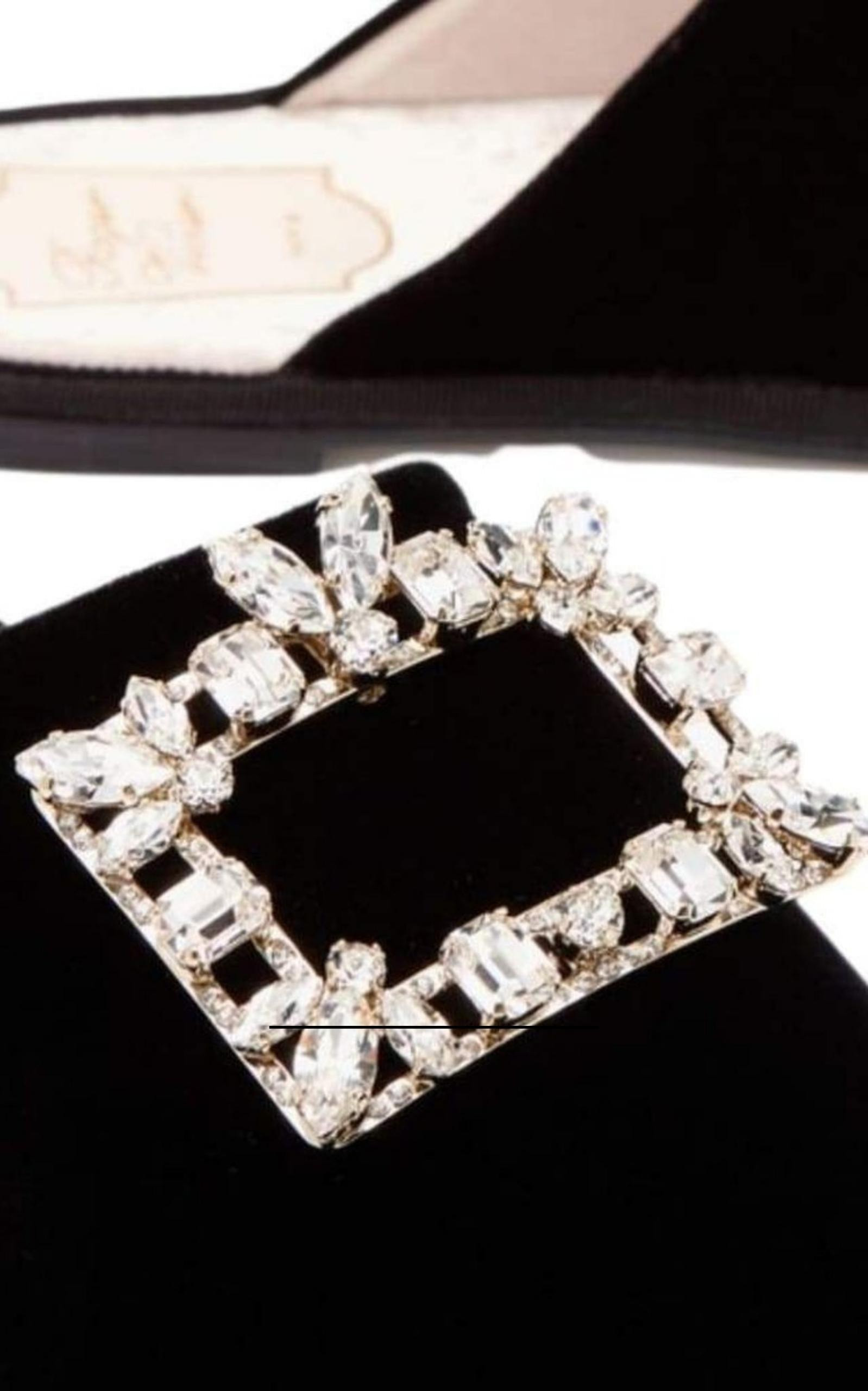 Hotel Vivier Crystal-buckle Velvet Slippers - 6