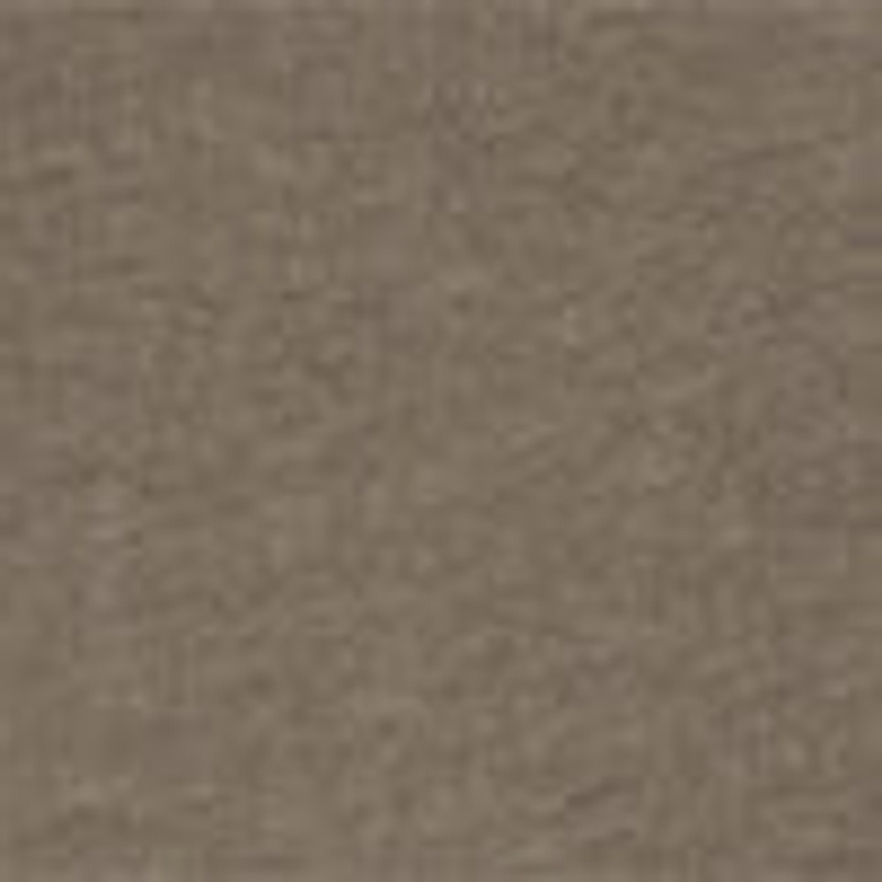 Wesler T-Shirt in Cotton 3