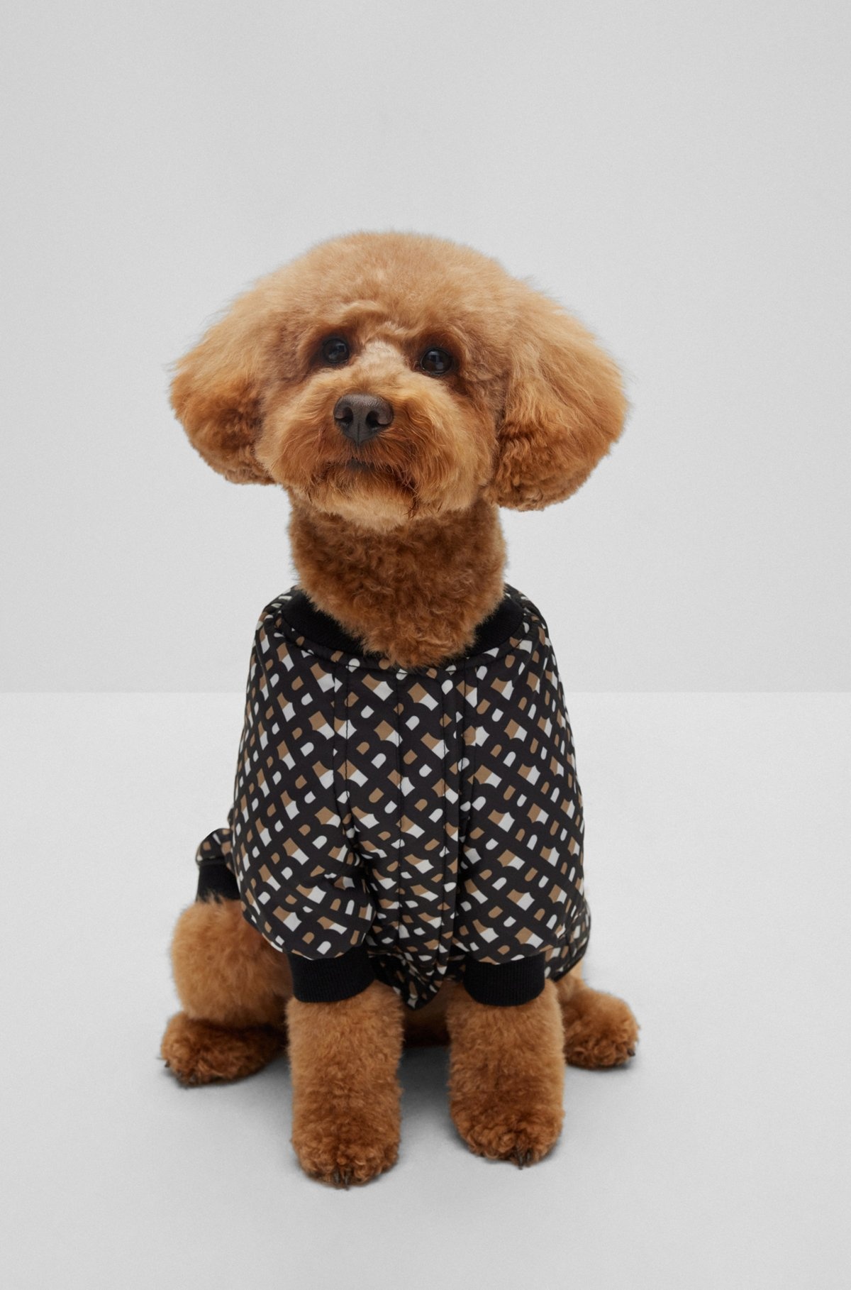 DOG BOMBER JACKET - 2