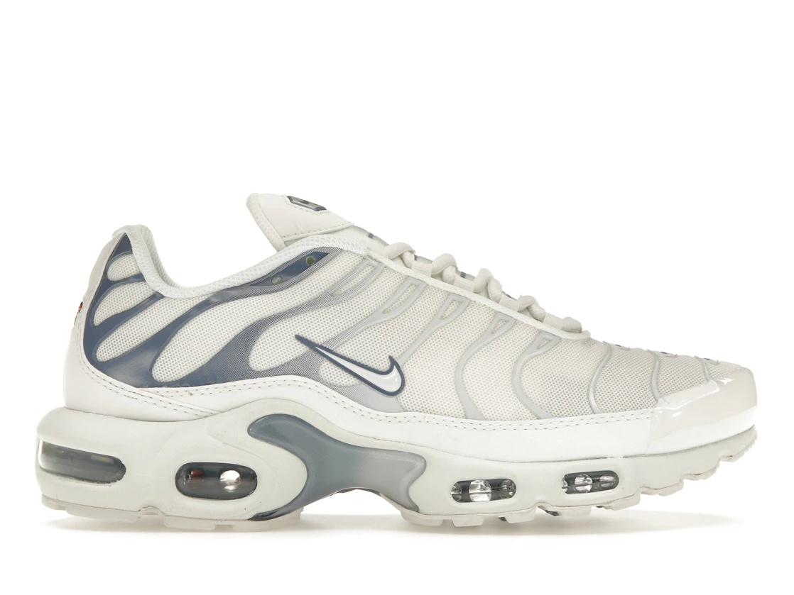 Nike Air Max Plus Ashen Slate (Women's) - 1