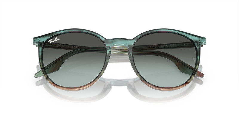 Ray-Ban RB2204 outlook