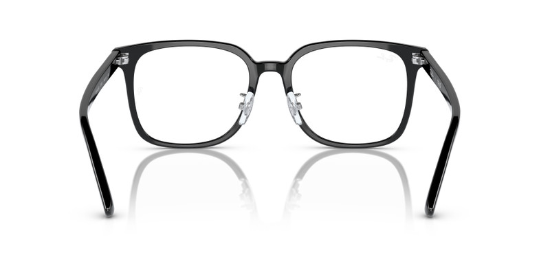 RB5419 OPTICS 6