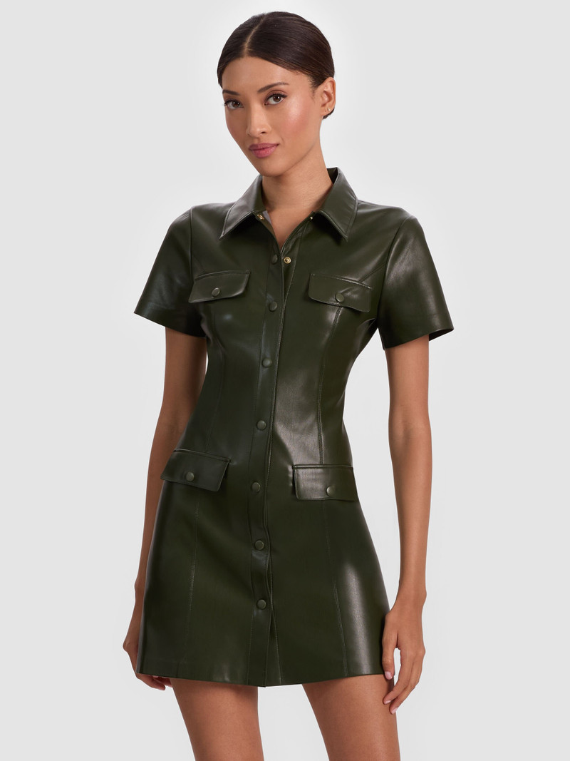 JAMIE VEGAN MINI DRESS 5