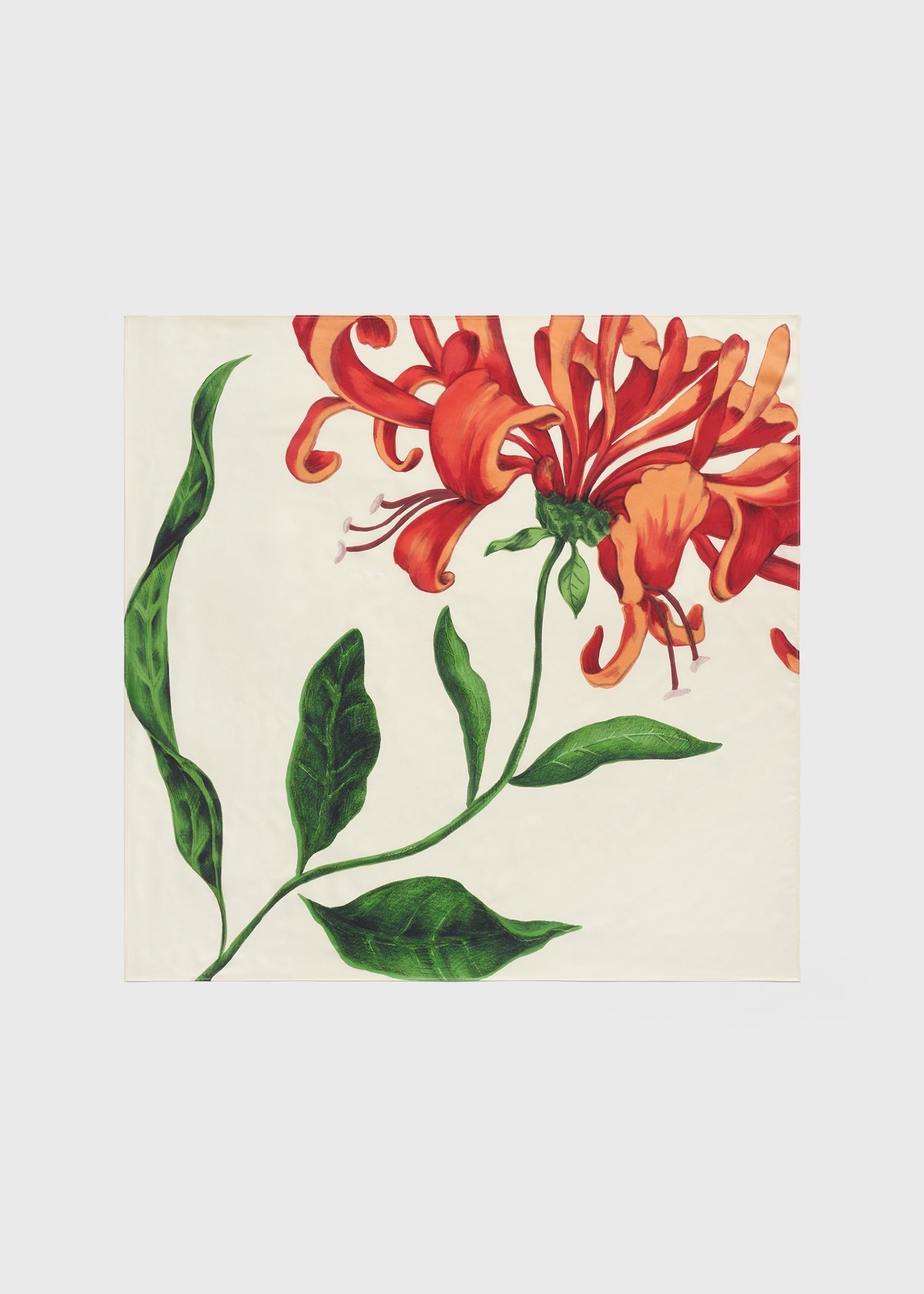 Honeysuckle silk scarf ecru/orange - 1